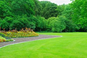 Landscaping Maintenance: How to Make the Most of Spring Cleaning for a Beautiful Outdoor Space this Year